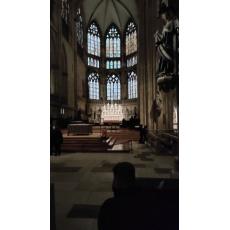 2025-46 Ausflug Regensburg.jpg